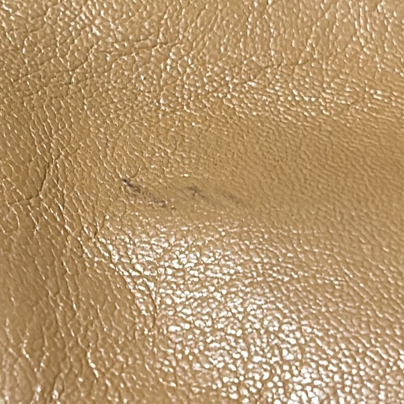 YSL the muse bag - Picture 12 of 16